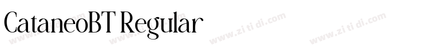 CataneoBT Regular字体转换
